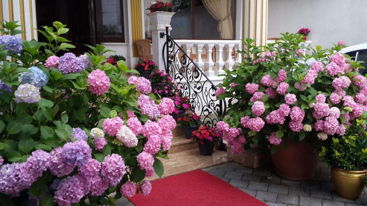 Termal Elit Hotel Gokcedere Zewnętrze zdjęcie